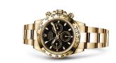 Rolex - 116508-0004  Cosmograph Daytona Yellow Gold / Black