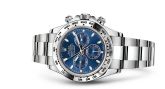 Rolex - 116509-0071  Cosmograph Daytona White Gold / Blue