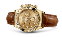 Rolex Cosmograph Daytona Yellow Gold / Panda Racing (116518-0131)