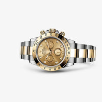 Rolex Cosmograph Daytona Rolesor / White (116523-0055)