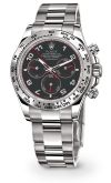 Rolex - 116509-0036  Daytona White Gold Black Racing