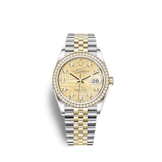 Rolex - 126283RBR-0029  Datejust 36 Stainless Steel  - Yellow Gold - Diamond / Champagne - Palm - Diamond / Jubilee