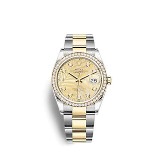 Rolex - 126283RBR-0030  Datejust 36 Stainless Steel  - Yellow Gold - Diamond / Champagne - Palm - Diamond / Oyster