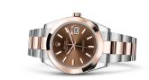 Rolex - 126301-0001  Datejust 41 Rolesor Everose Smooth / Oyster / Chocolate