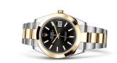 Rolex - 126303-0013  Datejust 41 Rolesor Yellow Smooth / Oyster / Black