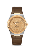 Omega Constellation Master Chronometer 39 Stainless Steel / Yellow Gold / Silver / Alligator (131.23.39.20.08.001)