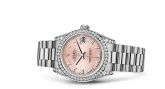 Rolex - 178159-0071  Datejust 31 White Gold Diamond / President / Pink Roman