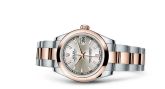 Rolex - 178241-0002  Datejust 31 Rolesor Everose Domed / Oyster / Silver