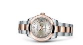 Rolex - 178241-0029  Datejust 31 Rolesor Everose Domed / Oyster / Silver Diamond