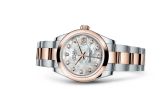 Rolex - 178241-0060  Datejust 31 Rolesor Everose Domed / Oyster / MOP