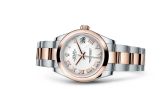 Rolex - 178241-0068  Datejust 31 Rolesor Everose Domed / Oyster / White Roman