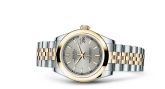 Rolex - 178243-0002  Datejust 31 Rolesor Yellow Domed / Jubilee / Silver