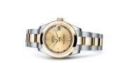 Rolex - 178243-0008  Datejust 31 Rolesor Yellow  Domed / Oyster / Champagne