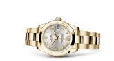 Rolex - 178248-0082  Datejust 31 Yellow Gold Domed / Oyster / Silver Roman