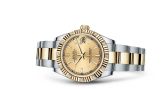 Rolex - 178313-0017  Datejust 31 Rolesor Yellow Fluted Diamond / Oyster / Champagne