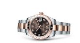 Rolex - 178341-0010  Datejust 31 Rolesor Everose Domed Diamond / Oyster / Chocolate Roman