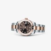 Rolex - 178341-0010  Datejust 31 Rolesor Everose Domed Diamond / Oyster / Chocolate Roman