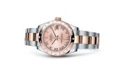 Rolex - 178341-0016  Datejust 31 Rolesor Everose Domed Diamond / Oyster / Pink Roman