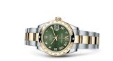 Rolex - 178343-0001  Datejust 31 Rolesor Yellow Domed Diamond / Oyster / Olive Green Roman