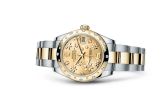 Rolex - 178343-0003  Datejust 31 Rolesor Yellow Domed Diamond / Oyster / Champagne Floral