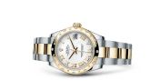 Rolex - 178343-0004  Datejust 31 Rolesor Yellow Domed Diamond / Oyster / White Roman