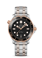 Omega Seamaster Diver 300M Master Co-Axial 42 Stainless Steel / Sedna Gold / Blue / Bracelet (210.20.42.20.01.001)