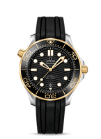 Omega Seamaster Diver 300M Master Co-Axial 42 Stainless Steel / Sedna Gold / Blue / Rubber (210.22.42.20.01.001)