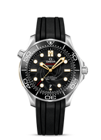 Omega Seamaster Diver 300M Master Co-Axial 42 James Bond No Time to Die / NATO (210.22.42.20.01.004)