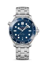 Omega Seamaster Diver 300M Master Co-Axial 42 Stainless Steel / Grey / Bracelet (210.30.42.20.03.001)