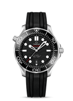 Omega Seamaster Diver 300M Master Co-Axial 42 Stainless Steel / Blue  / Rubber (210.32.42.20.01.001)