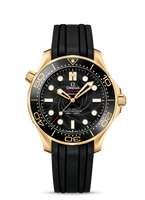 Omega Seamaster Diver 300M Master Co-Axial 42 Stainless Steel / White / Bracelet (210.62.42.20.01.001)