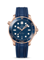 Omega Seamaster Diver 300M Master Co-Axial 42 Stainless Steel / James Bond (210.62.42.20.03.001)