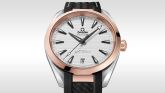 Omega - 220.22.41.21.02.001  Seamaster Aqua Terra 150M Master Chronometer 41 Stainless Steel / Sedna Gold / Silver / Rubber