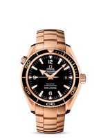 Omega Seamaster Planet Ocean 600M Co-Axial 42 Red Gold / Black / Alligator (222.60.42.20.01.001)