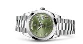 Rolex - 228206-0027  Day-Date 40 Platinum / Green - Roman