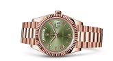 Rolex - 228235-0025  Day-Date 40 Everose / Olive - Roman