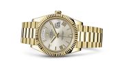 Rolex - 228238-0002  Day-Date 40 Yellow Gold / Silver - Roman