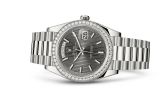 Rolex - 228349rbr-0008  Day-Date 40 White Gold - Diamond / Grey Tuxedo