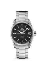 Omega Seamaster Aqua Terra 150M Co-Axial 38.5 Stainless Steel / Grey (231.10.39.21.06.001)