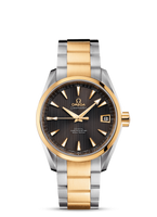 Omega Seamaster Aqua Terra 150M Co-Axial 38.5 Red Gold / Grey (231.20.39.21.06.002)