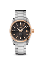 Omega Seamaster Aqua Terra 150M Co-Axial 38.5 Stainless Steel / Red Gold / Silver (231.20.39.21.06.003)