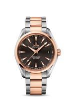 Omega Seamaster Aqua Terra 150m Master Co-Axial 41.5 Stainless Steel / Red Gold / Silver / Bracelet (231.20.42.21.06.003)