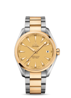 Omega Seamaster Aqua Terra 150m Master Co-Axial 41.5 Red Gold / Grey (231.20.42.21.08.001)