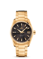 Omega Seamaster Aqua Terra 150M Co-Axial 38.5 Stainless Steel / Yellow Gold / Diamond / Black / Bracelet (231.50.39.21.06.002)