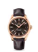 Omega Seamaster Aqua Terra 150m Master Co-Axial 41.5 Yellow Gold / Champagne (231.53.42.21.06.002)