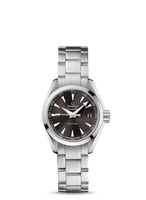 Omega Seamaster Aqua Terra 150M Quartz 30 Stainless Steel / Grey / Bracelet (231.10.30.60.06.001)