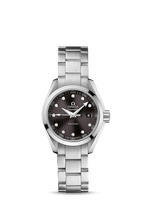 Omega Seamaster Aqua Terra 150M Quartz 38.5 Stainless Steel / Silver / Bracelet (231.10.30.60.56.001)