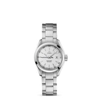 Omega Seamaster Aqua Terra 150M Quartz 30 Stainless Steel / Grey / Bracelet (231.10.30.61.02.001)