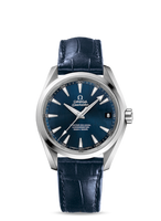 Omega Seamaster Aqua Terra 150M Master Co-Axial 38.5 Stainless Steel / Silver / Bracelet (231.13.39.21.03.001)