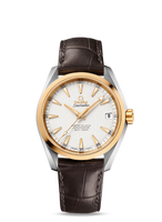 Omega Seamaster Aqua Terra 150m Master Co-Axial 38.5 Stainless Steel / Yellow Gold / Silver / Bracelet (231.23.39.21.02.002)